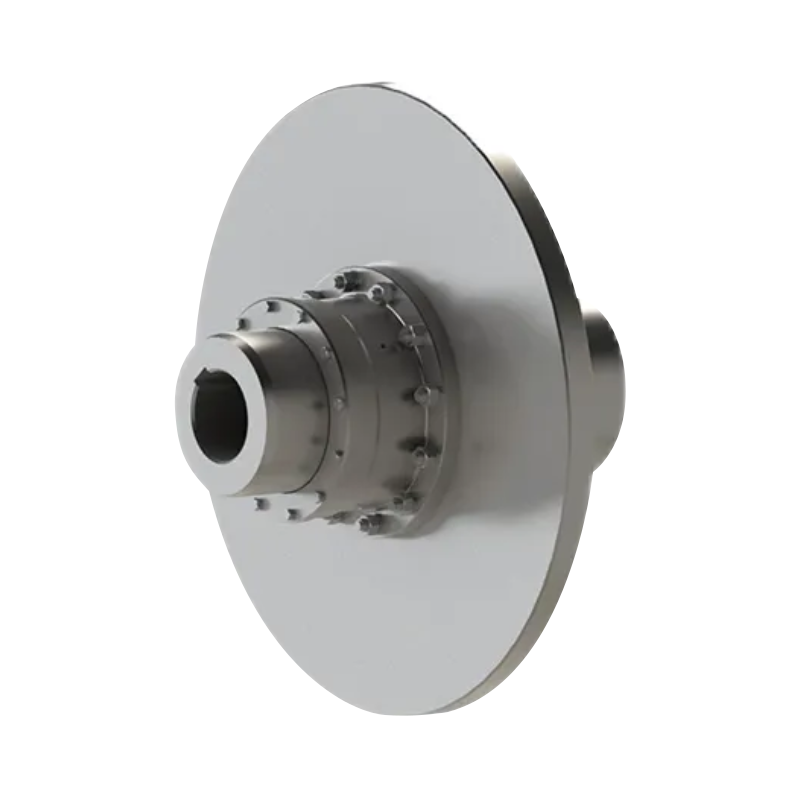 GAP Drum gear coupling with brake disc (Q/YG 12008X-2018)